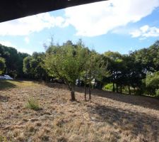 Vue cot&eacute; est du terrain.