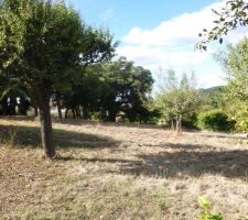 Vue cot&eacute; sud du terrain.