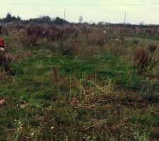 Partie gauche du terrain non d&eacute;broussaill&eacute;