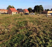 Terrain enti&egrave;rement d&eacute;broussaill&eacute;