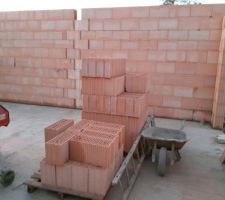 D&eacute;but des murs, salon