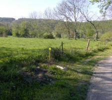 Le chemin et sur la gauche notre parcelle

la ou il y le lampadaire, se sera notre sortie de garage