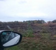 D&eacute;but des travaux par le lotisseur, ils ont commenc&eacute; par les terrains du fond (environ lots 19 &agrave; 28)