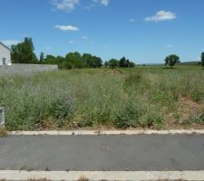 Premi&egrave;re vue du terrain encore plein d'herbes !!!!