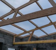 Charpente partie jour