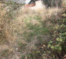 Le terrain brute &agrave; d&eacute;fricher