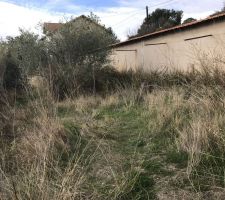 Le terrain brute &agrave; d&eacute;fricher et garage &agrave; d&eacute;molire