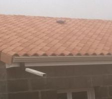 Vu toiture arrière de la maison chambre des parents