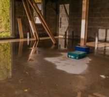 La pluie de la nuit...