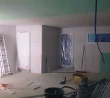 Murs périphériques pratiquement terminé de plaquer