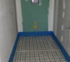 Film polyane_WC RDC