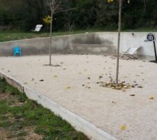 Croissance des mûriers platanes... reste à faire le crépi du mur et finir la fontaine en angle