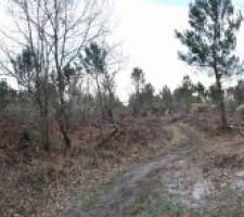 Voici le terrain o&ugrave; sera notre maison - en mode panoramique :)