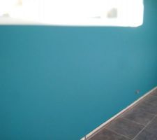 Peinture bleu canard (Marine Blue/little Greene)