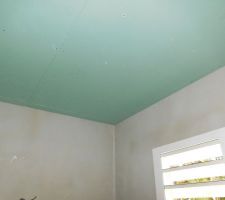 Plafond salle d'eau