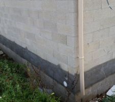 Vide sanitaire