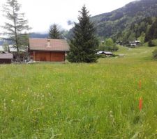 Le terrain depuis le coin sud-est