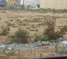 Le terrain est pr&ecirc;t.