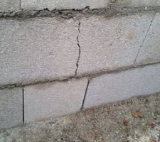 Fissures sans gravité (normalement)