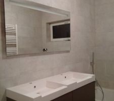 Installation du miroir et de la double vasque dans la salle de bain