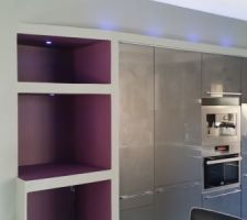 Peinture des niches avec le gris et l'aubergine qu'il nous reste des autres pièces.