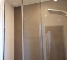 Petite nouvelle : porte de douche sur pivot, sur-mesure (100 x 250 cm), ouverture dedans et dehors au choix.