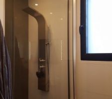 Petite nouvelle : porte de douche sur pivot, sur-mesure (100 x 250 cm), ouverture dedans et dehors au choix.