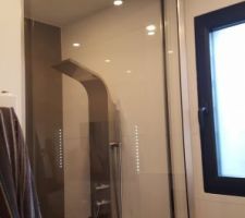 Porte de douche sur-mesure montée sur pivot à ouverture intérieure et extérieure au choix.