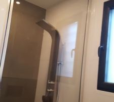 Porte de douche sur-mesure montée sur pivot à ouverture intérieure et extérieure au choix.