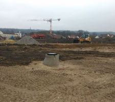 Quelques photos lot 12
