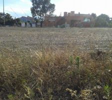 Terrain vu vers vers la voirie