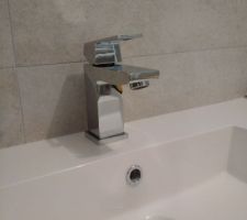 Robinet de la double vasque