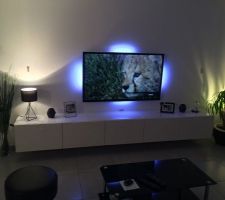 Installation TV et Meuble Muraux
