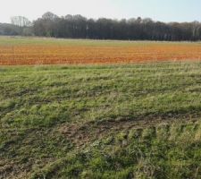 Voici mon terrain &agrave; l'&eacute;tat brute