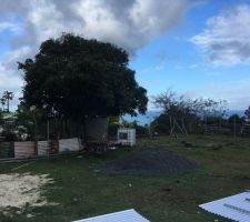 Manguier et r&eacute;servoir d'eau