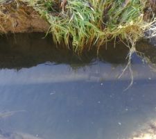 Canalisation eau usée exposée par crue un an après fin travaux