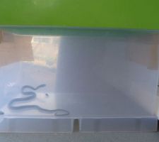 ...le visiteur mise en quarantaine avant son d&eacute;placement vers un milieu qui lui est appropri&eacute;