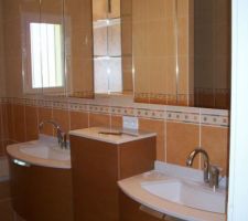 Suite et fin de la pose de la salle de bains.