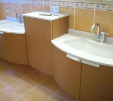 Suite et fin de la pose de la salle de bains.