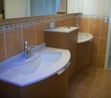 Suite et fin de la pose de la salle de bains.