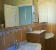 Suite et fin de la pose de la salle de bains.