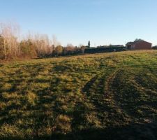 Photo du terrain brut