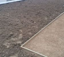 Future pelouse ouest