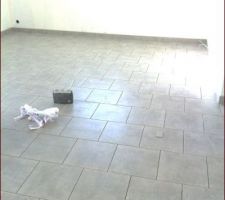 Notre carrelage gris clair, les joints ont &eacute;t&eacute; fait apr&egrave;s la prise de la photo