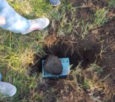 Les mauvais souvenirs resteront dans un boite au fond du jardin de la maison que nous louions.