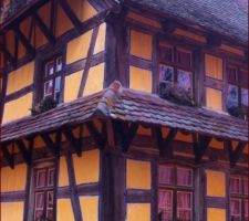 Quelques idées de couleurs de crépis en Alsace : ici c'est très beau !