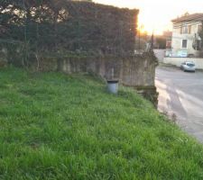 D&eacute;tail sur le cot&eacute; gauche en regardant vers le bas : bouche de raccord tout &agrave; l'&eacute;gout. On voit aussi la haie du voisin...