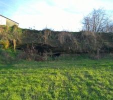 Vue du bas du terrain, avec nos fameuses baumes !