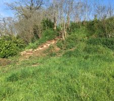 D&eacute;but de r&eacute;novation de l'escalier