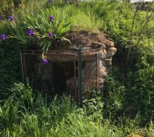 Notre fameux puit, avec ses petites fleurs ... (aucune id&eacute;e de leur nom?)